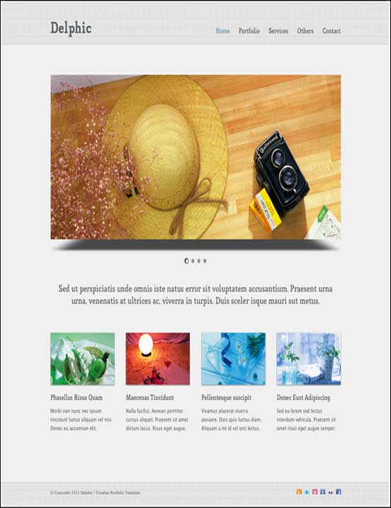 DelphicWebsiteTemplate